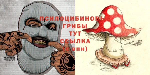 эйфоретик Богородск