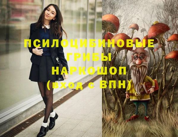 эйфоретик Богородск