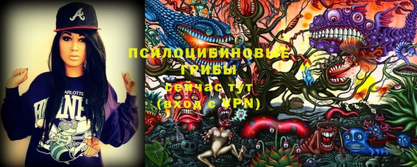 mdma Богданович