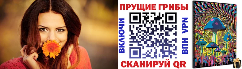 Купить закладки  Георгиевск  Псилоцибиновые грибы прущие грибы 